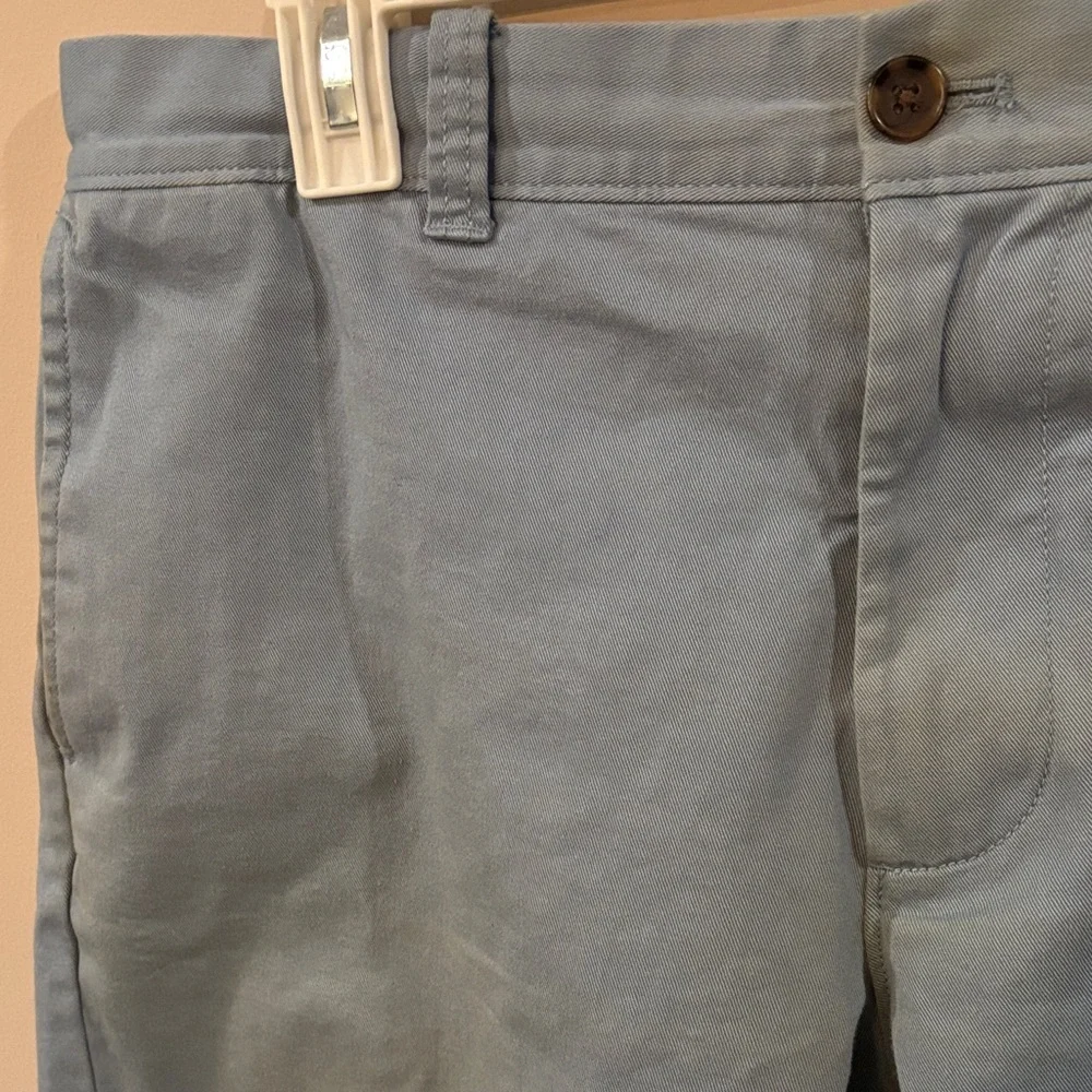 J. Crew Light Blue Flat Front Shorts 9